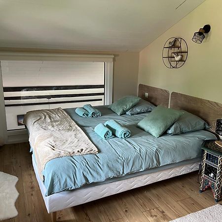 Duplex 3 Chambres Vue Mont-Blanc Domancy Zewnętrze zdjęcie