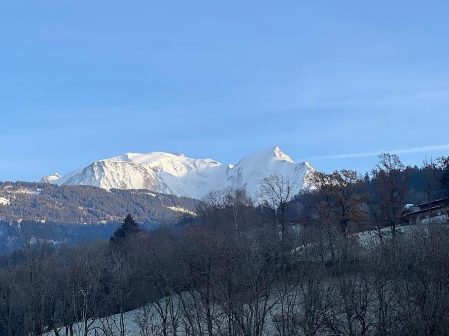 Duplex 3 Chambres Vue Mont-Blanc Domancy Zewnętrze zdjęcie