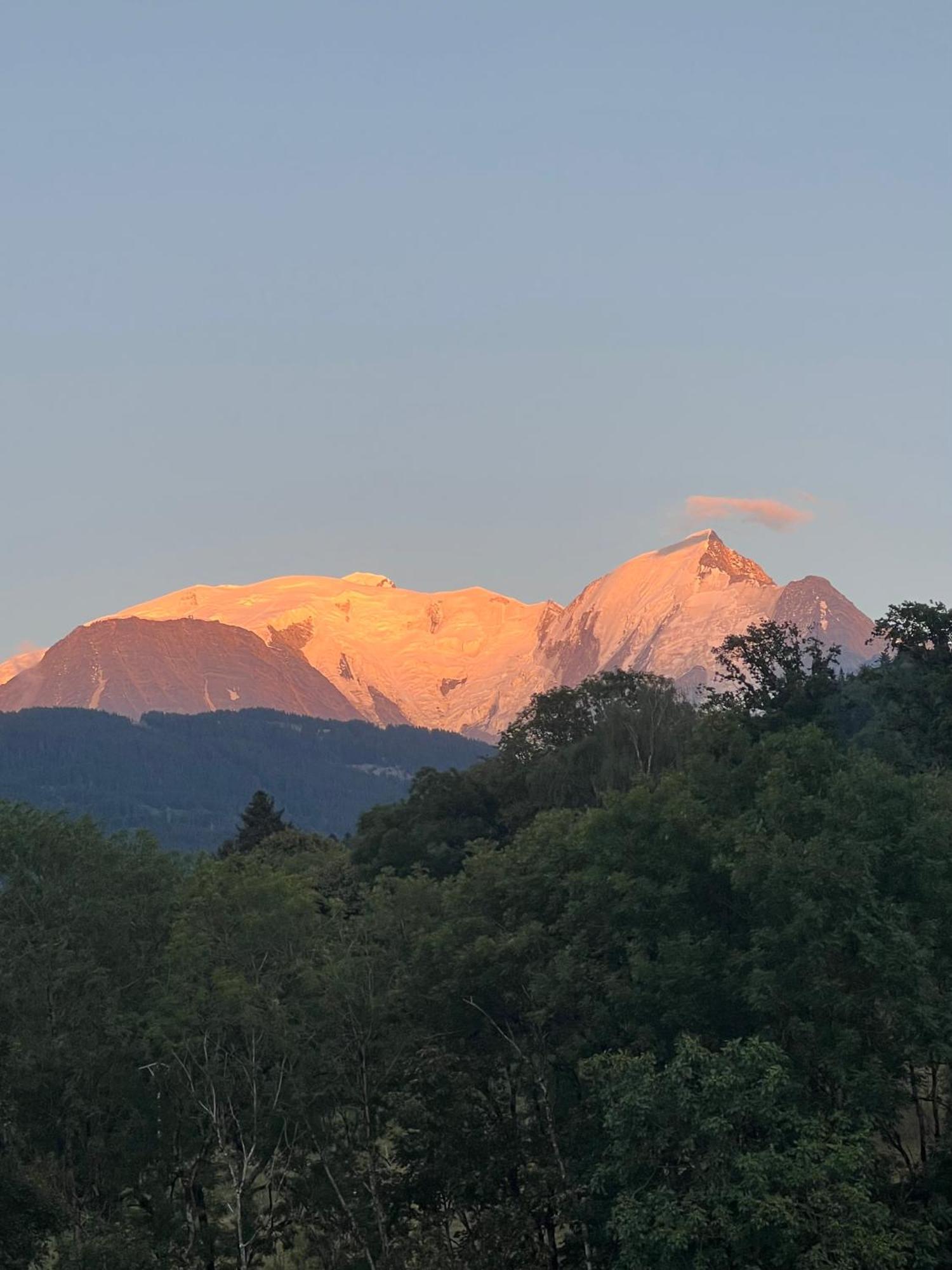 Duplex 3 Chambres Vue Mont-Blanc Domancy Zewnętrze zdjęcie