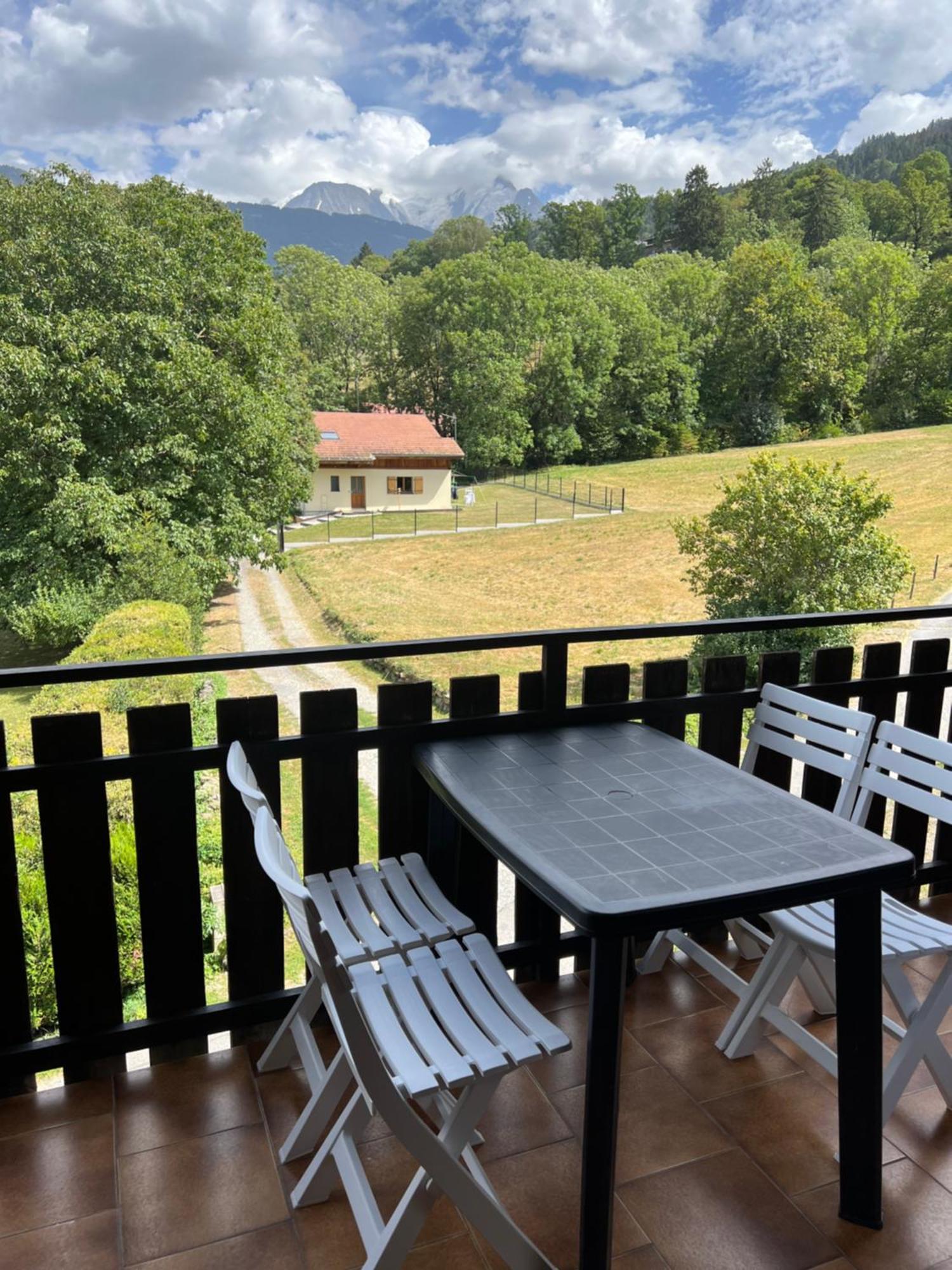 Duplex 3 Chambres Vue Mont-Blanc Domancy Zewnętrze zdjęcie