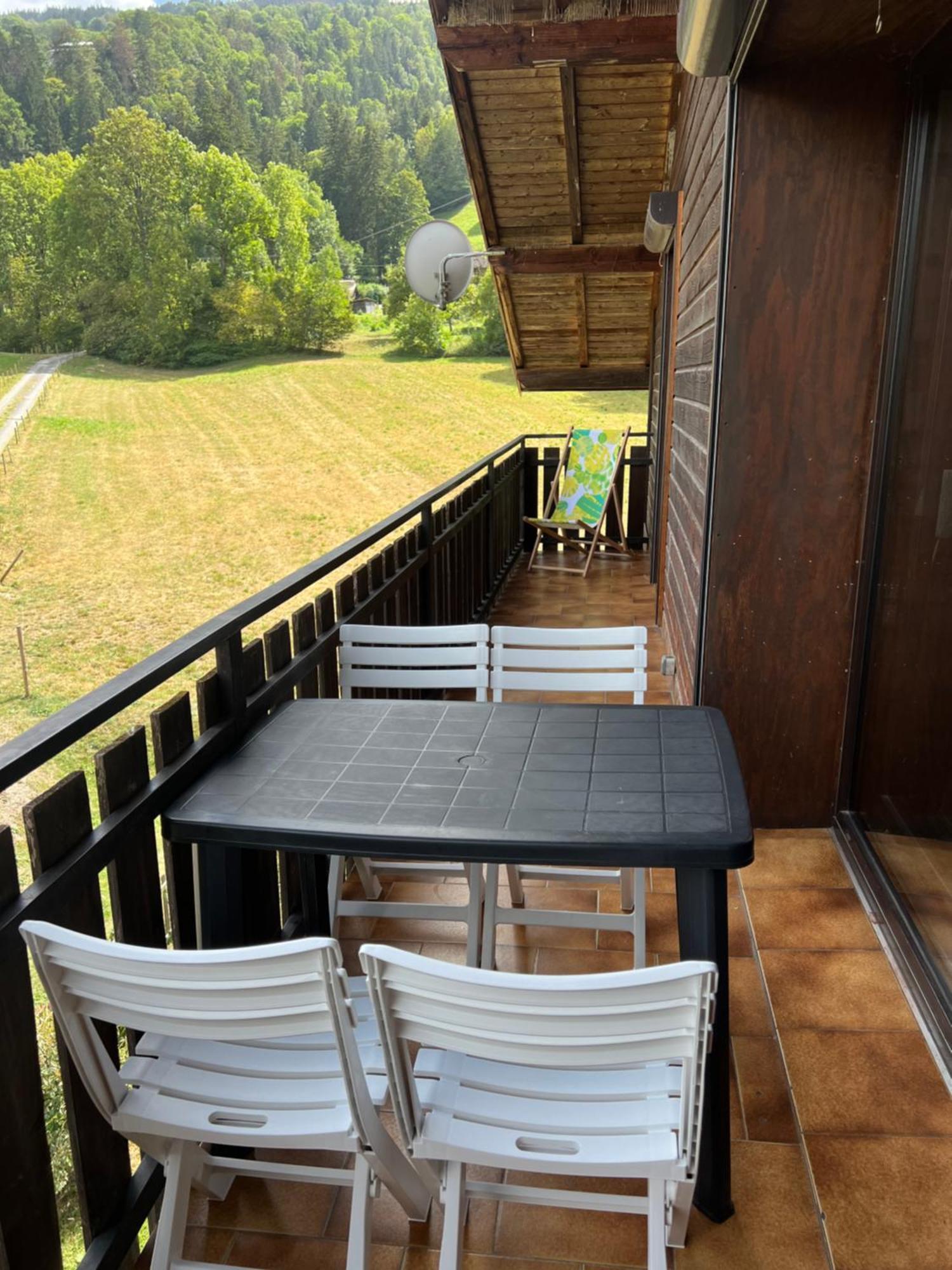 Duplex 3 Chambres Vue Mont-Blanc Domancy Zewnętrze zdjęcie